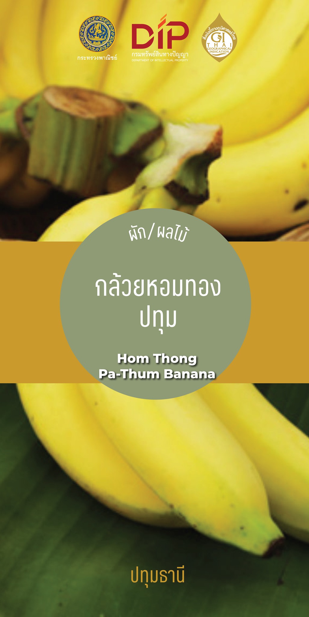 ขอชวนชาวปทุมธานีร่วมสนับสนุน “กล้วยหอมทองปทุม” ( Hom Thong Pa-Thum Banana) 